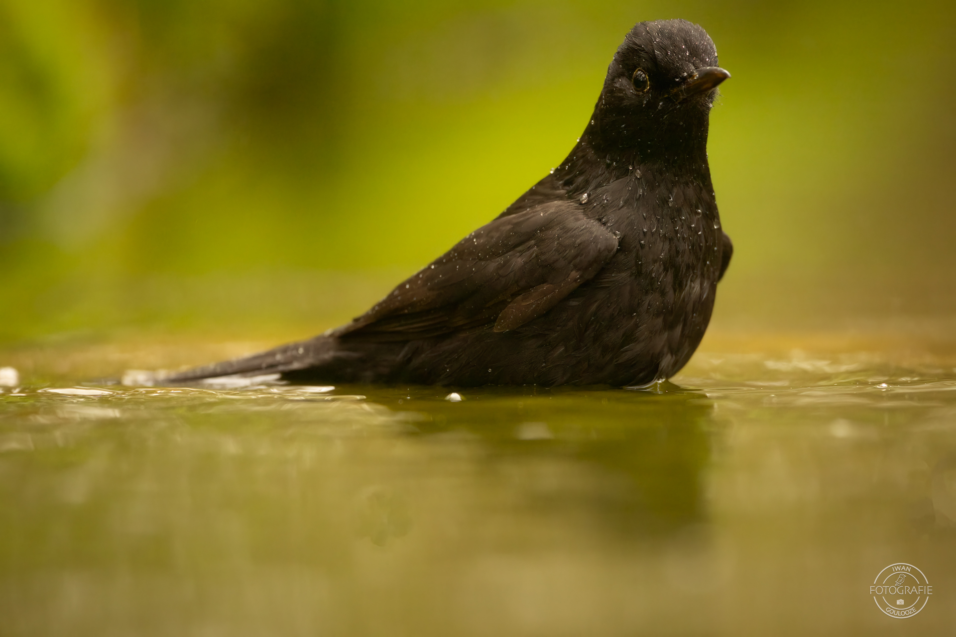 23 oktober 2022 123912 1R2A0112 bewerkt